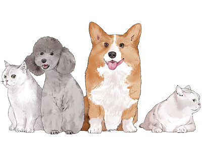 Dogs and Cats Illustration