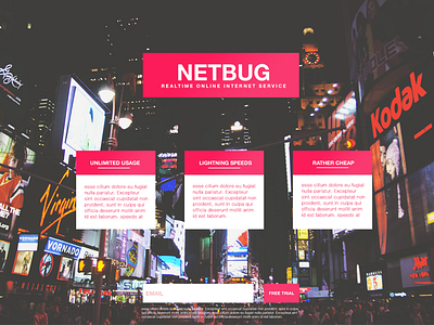 NETBUG Concept Design