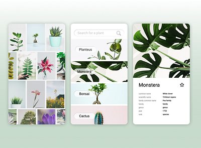 Plant Discover android android app android app design android app development android design mobile mobile app mobile app design mobile design mobile ui