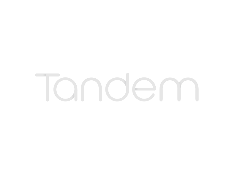 Tandem Logo font identity logo wordmark