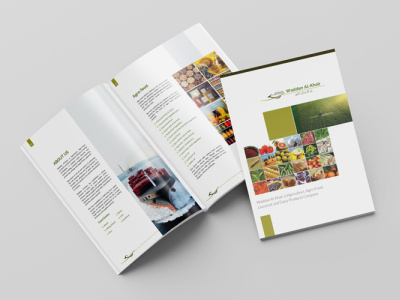 Brochure | Profile | Catalog Design branding brochure brochuredesign catalogdesign flyerdesign graphic design logo profiledesign