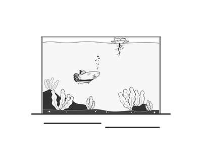 Hi, I'm Betta Fish | Weekly warm-up 2d colorless dribbble flat graphic design illustration illustrator vector warm-up