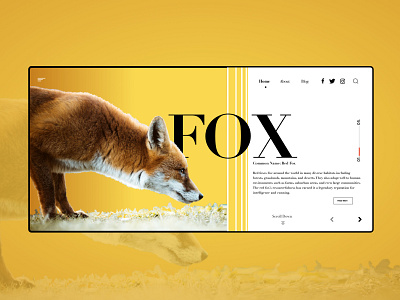 Red Fox Landing Page adobe photoshop adobe xd blog design foxes landing page landing page design landing page ui uidesign uiuxdesigner uxdesign yellow logo