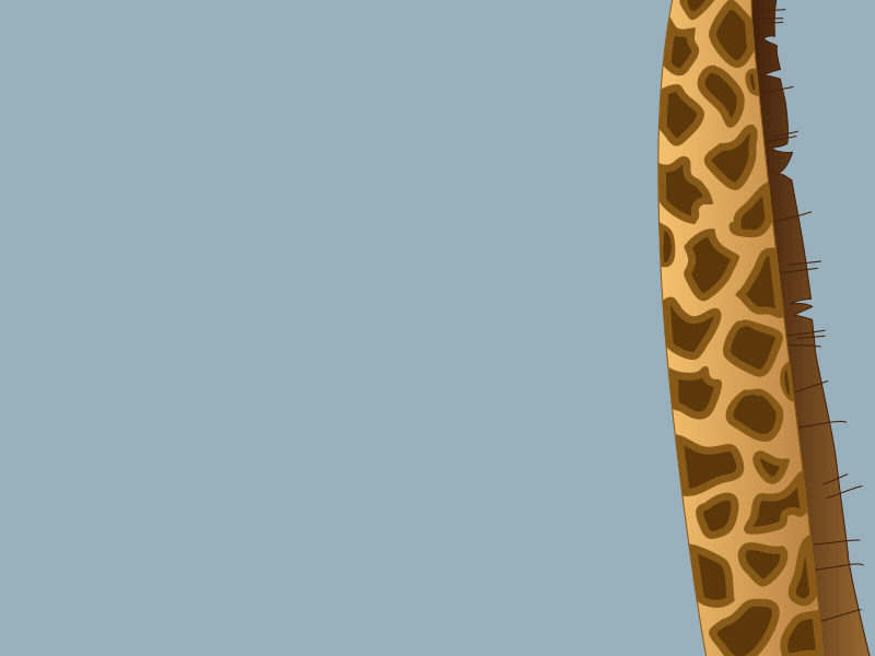 Cool Giraffe animation after effects lottie sunglasses vector illustration