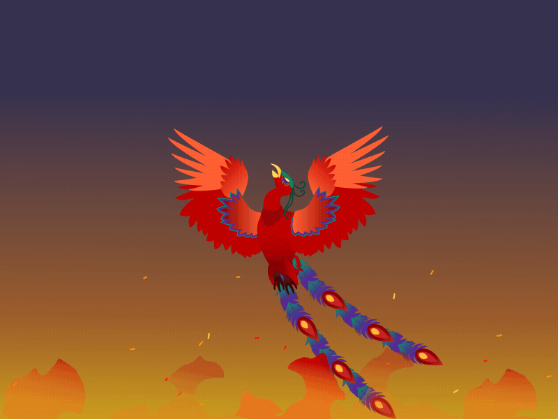 Phoenix animation after effects illustration lottie vector illustration