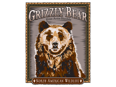 Grizzly Bear Shirt Design graphic design illustration shirt design vector