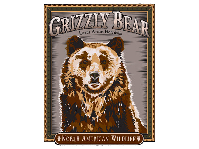 Grizzly Bear Shirt Design