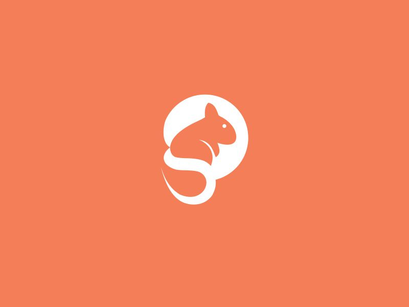 squirrel by Otreng on Dribbble