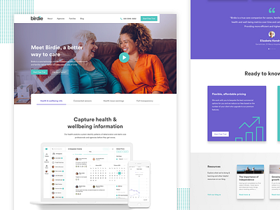 Birdie Landing Page