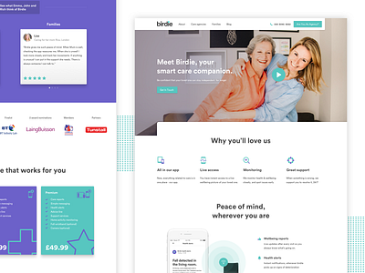 Birdie Family Landing Page