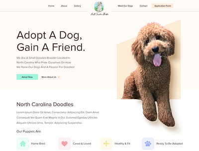 Dog Adoption Website Design for NC Doodles design minimal typography ui ux web web design website website design