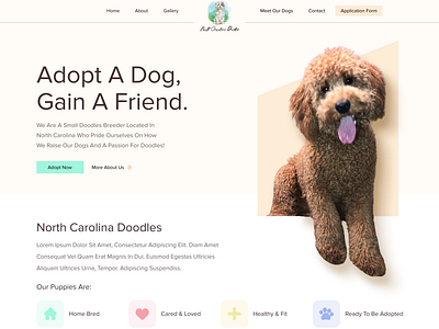 Dog Adoption Website Design for NC Doodles