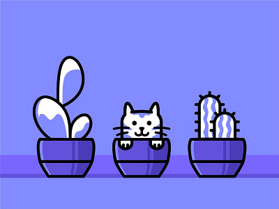 Cactus cat 🐱