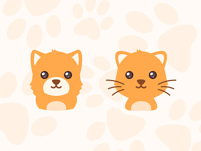 Fox&Cat 🦊🐱