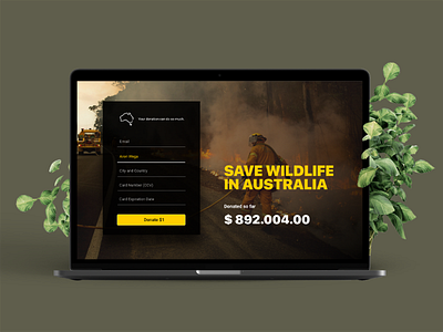 Donate for Wildlife Australia