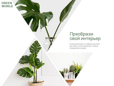 Интернет-магазин комнатных растений design figma landing page minimal photoshop tilda typography ui ux web website