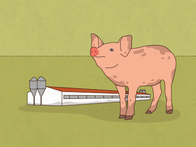 Dirty pig illustration pig