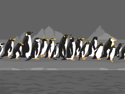 Penguins illustration penguins
