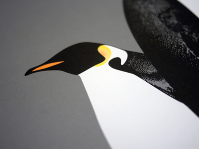 Penguin love illustration penguin print