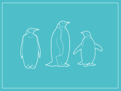 Penguins.... more penguins illustration line penguin