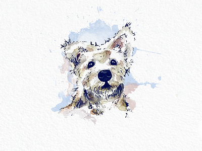 Charlie experimentation dog illustration ink paint watercolor