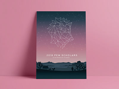 Javelina arizona constellation geo geometric illustration javelina landscape pig poly poster