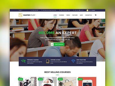 Masterstudy - Education WordPress Theme