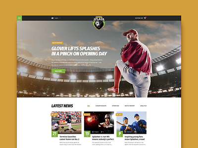 Splash Baseball WordPress theme