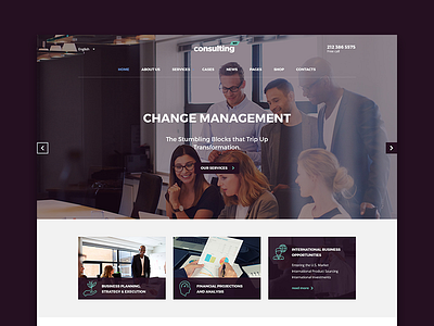 Consulting WordPress theme Moscow Layout