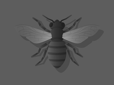 Bee Concept 2 Further bee process scad vector