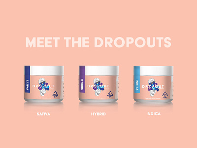 Meet The Dropouts brand design brand illustration copywriting creative direction design illustration logo