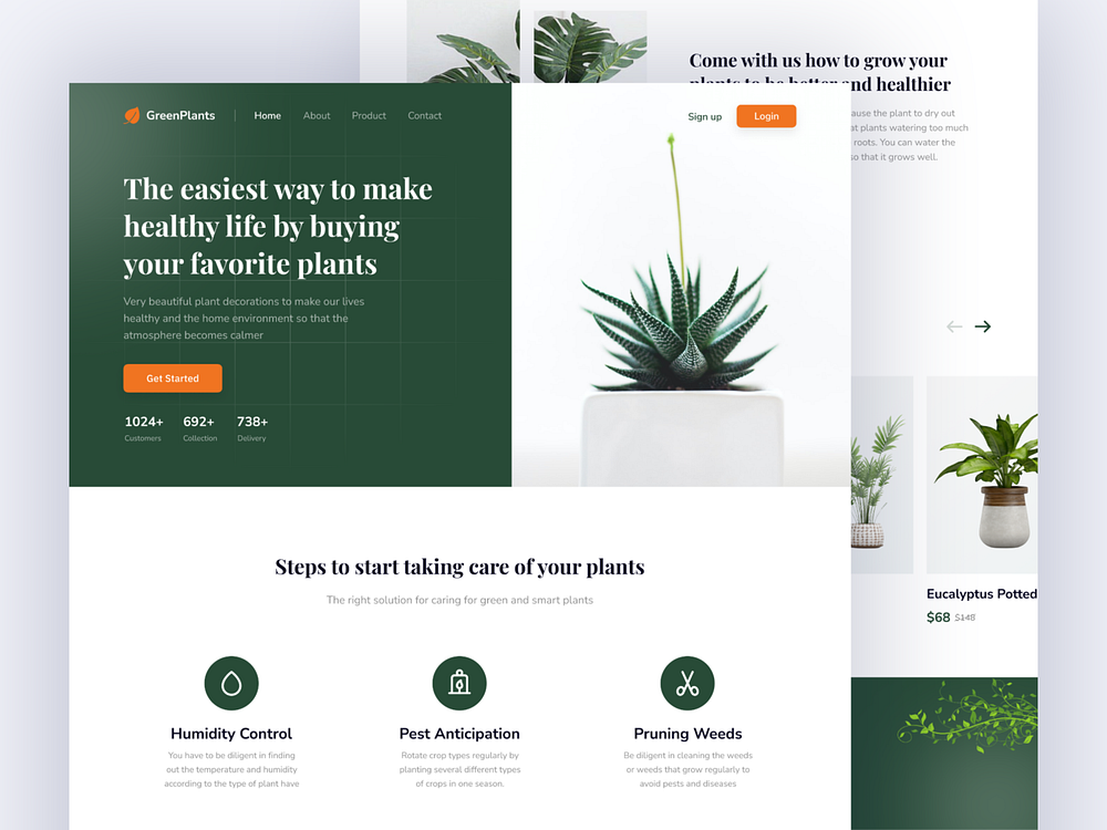 Browse thousands of Plant images for design inspiration | Dribbble