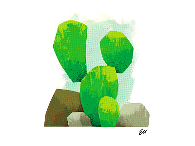 Cactus cactus illustration
