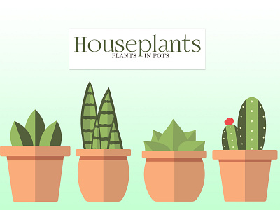 House plants adobe illustrator adobe illustrator cc cactus design illustration plants in pots potted plant succulents vector