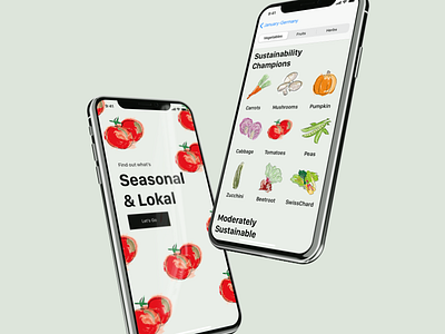 Seasonal & Lokal app branding design illustration illustrator logo ui ui ux uidesign ux
