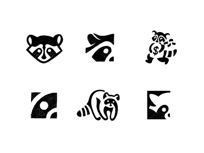 Raccoon logo - concept sketches