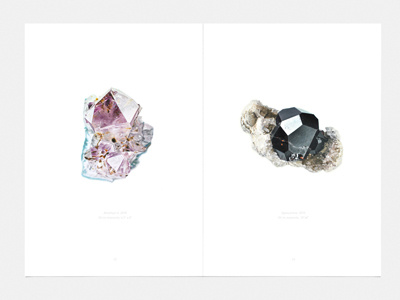 Fanzine «Minerals» carly fanzine minerals pages project waito works