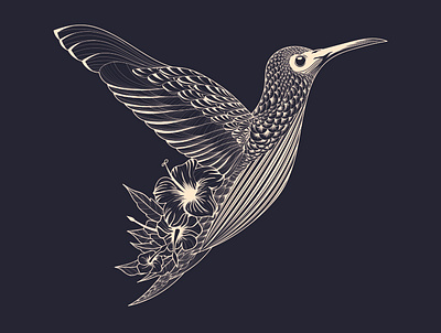 The Flying Colibri. Illustration 2020. artwork design flat graphicdesign illustrator photoshop vector