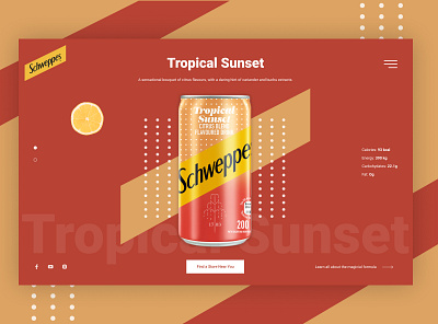 Schweppes drink drinks web web design webdesig webdesign website