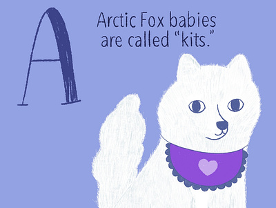 Arctic Fox arctic fox baby animals