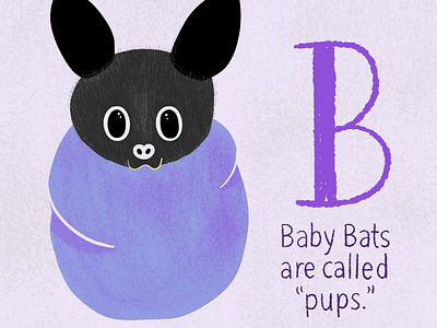 Baby Bat