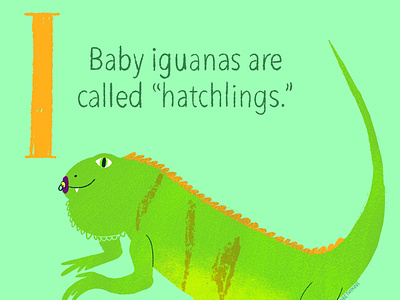 Iguana Baby baby animals childrensbookillustration childrensbooks illustratio illustration illustration digital kids art