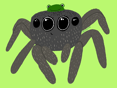 Jumping Spider