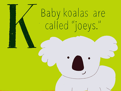 Koala baby animals childrens book childrens illustration cute illustration digitalart illustration koala