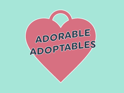 Adorable Adoptables heart logo logo logo design rescue logo