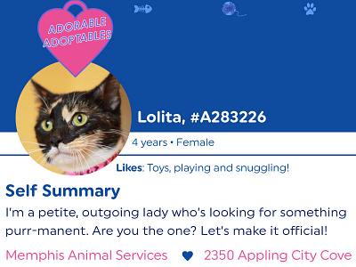 Pretend Dating Profile for Pets (Cat Edition)