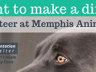 Volunteer Ad for Memphis Animal Services ad for volunteering dog graphic volunteer ad