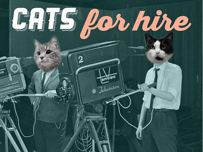 Working Cats for Hire! ad layout advertising cat cat adoption campaign cat advertisement graphic design kitty kitty ad