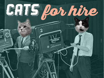 Working Cats for Hire!