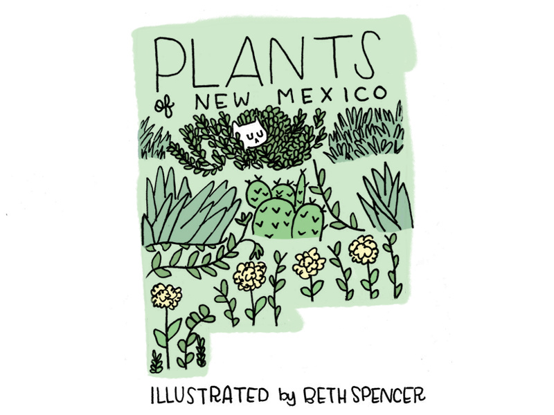 Plants of New Mexico Cover illustration zine new mexico plants